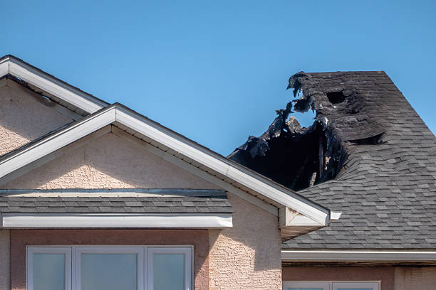 Top rated local Fire Damage Removal specialists in Helmetta, NJ